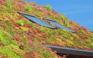 River Bank living roof systems