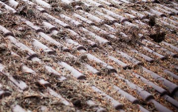 River Bank roof cleaning companies