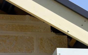 soffit repair River Bank