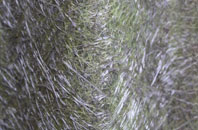 River Bank fibreglass roof work